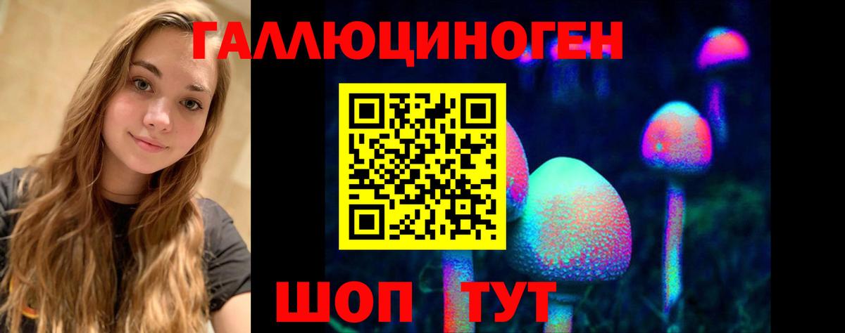 Псилоцибиновые грибы Psilocybine cubensis Мытищи